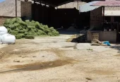ظرفیت خالی گاوداری مجهز در زرقان