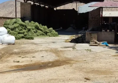 اجاره گاوداری مجهز در زرقان