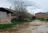 ظرفیت خالی گاوداری مجهز در زرقان