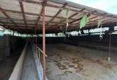 ظرفیت خالی اجاره سوله ۶۰۰ متری در رشکلا، مناسب انبار و کارگاه