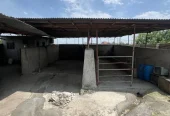ظرفیت خالی اجاره سوله ۶۰۰ متری در رشکلا، مناسب انبار و کارگاه