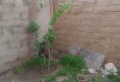 ظرفیت خالی اجاره انبار و فضای کارگاهی ۱۷۵ متری در شاندیز
