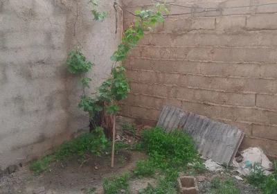 اجاره انبار و فضای کارگاهی ۱۷۵ متری در شاندیز