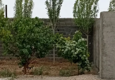 اجاره کارگاه ۷۰۰ متری با سوله