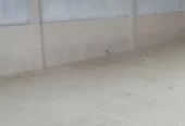 اجاره سوله و فضای کارگاهی ۱۵۰ متری در صفادشت
