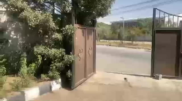 جذب شریک مالی برای توسعه دو مجموعه تولیدی فعال