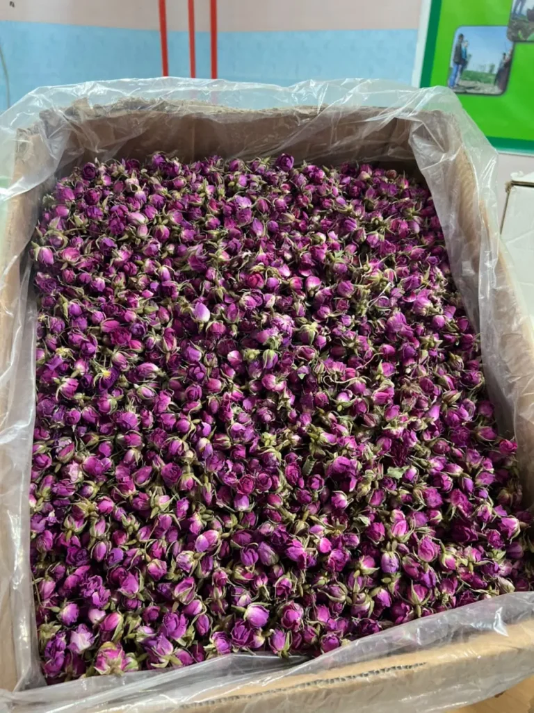 درخواست ظرفیت خالی فضای کارگاهی و نیروی بسته‌بندی گیاهان دارویی