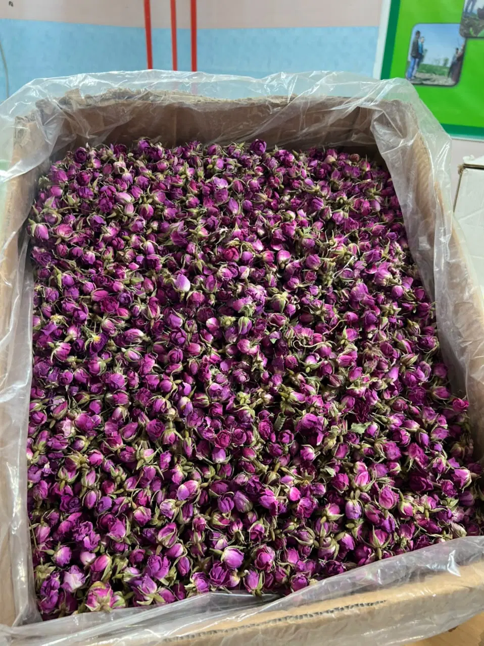 درخواست ظرفیت خالی فضای کارگاهی و نیروی بسته‌بندی گیاهان دارویی