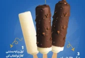 ظرفیت خالی شراکت و جذب سرمایه برای راه‌اندازی خط تولید بستنی در کیش