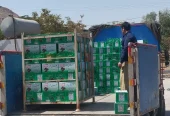 ظرفیت خالی پذیرش سفارش نگهداری محصولات کشاورزی در سردخانه ۱۵۰۰ تنی