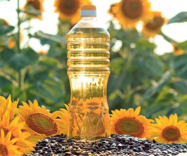 تامین و فروش عمده انواع محصولات غذایی با قیمت رقابتی