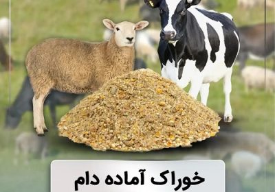 خوراک-آماده-دام-1