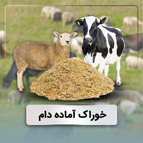 تولید انواع خوراک دام