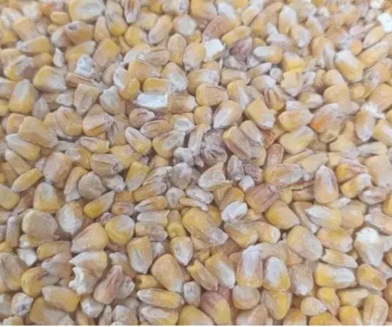 خوراک دام و طیور