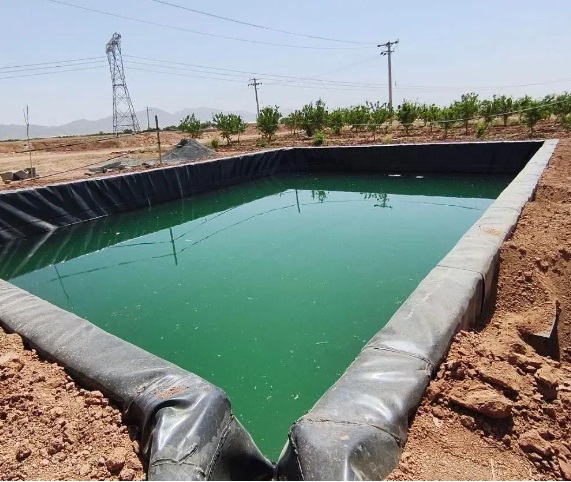 زمین برای موسیر