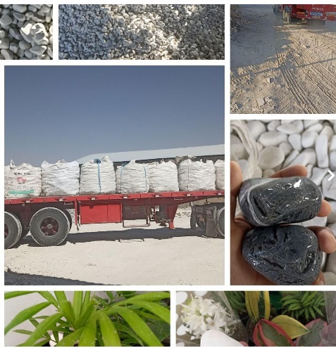 تولیدی سنگ رنگی